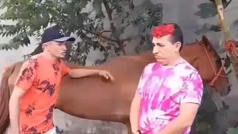 VENDEDOR DE CAVALO BRUTO