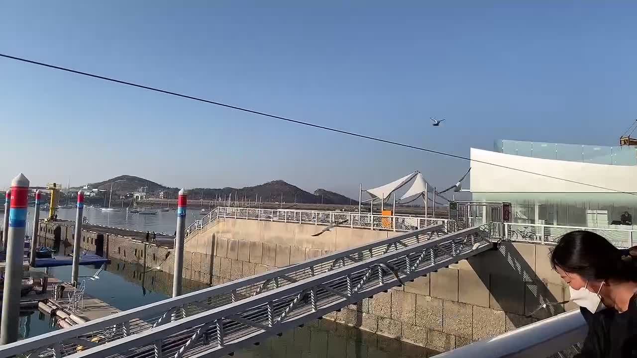 Seagulls eating the beach and snacks-2