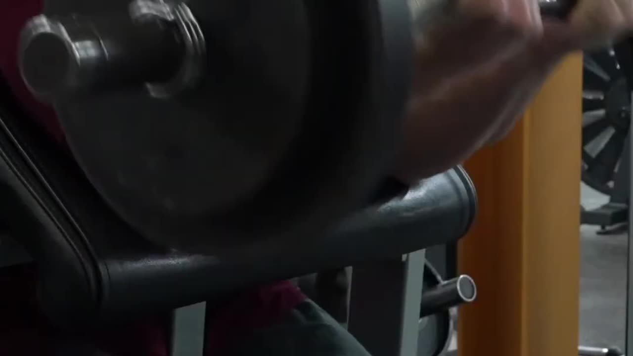 Preacher Curls Sam Sulek