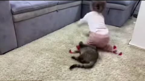 What does a kitten do when a Baby dances funny video.