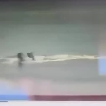Mysterious shark attack video leaks from inside a NSW police