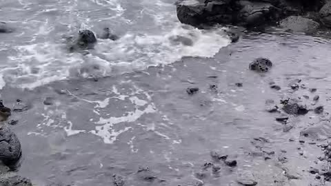 Calm sea and sound of waves