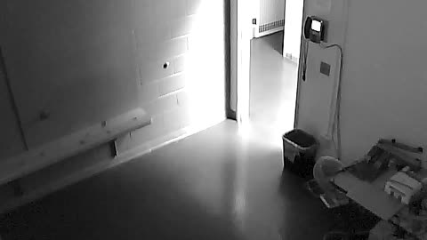 1700HQOB02208ALiveScanRoom_2021-01-05_16h00min03s447ms.mp4