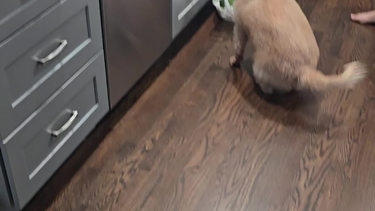 BERKELEY GETS A NEW TOY !