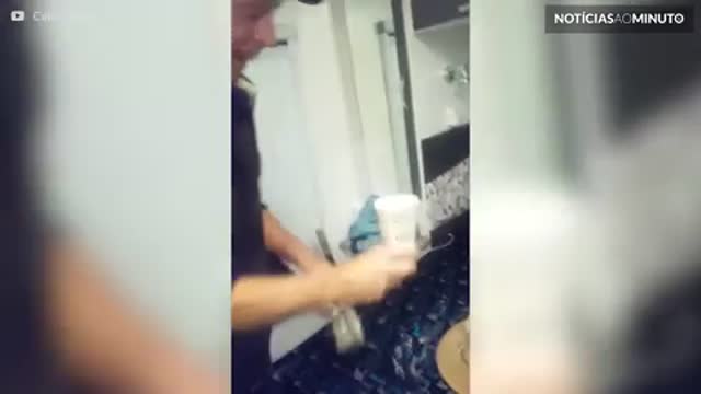 Casal tenta capturar aranha gigante no quarto