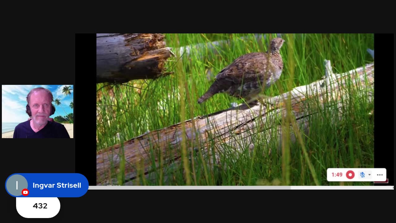 Kvällens Galenskap 230510