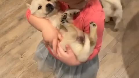 cute child with dog