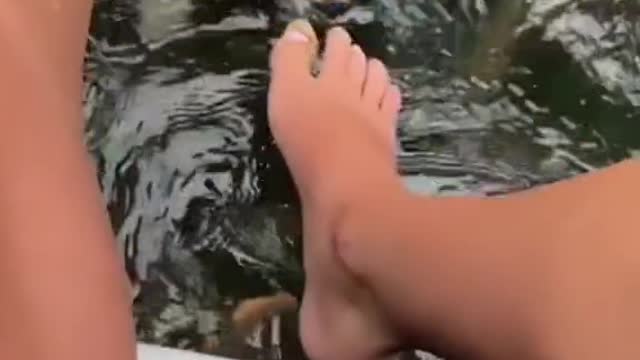 Funny animals videos 2022 watch itπππππ