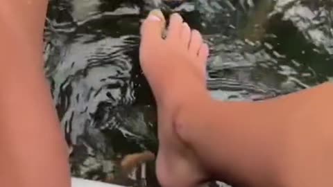 Funny animals videos 2022 watch it😂😂😂😂😋