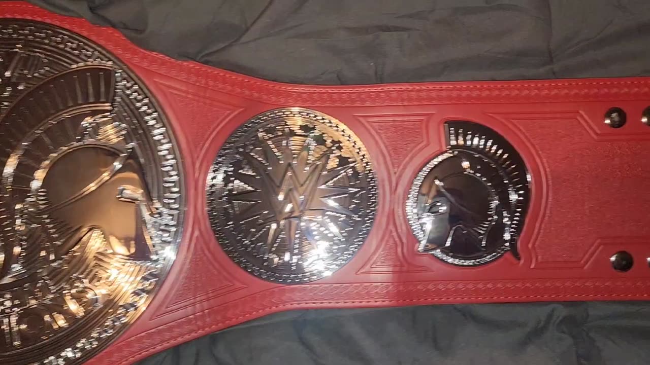 WWE Raw tag team championship replica