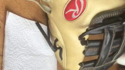 Rawlings pro preferred