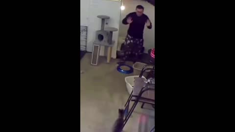 Crazy Cat attacks Guy in Garage