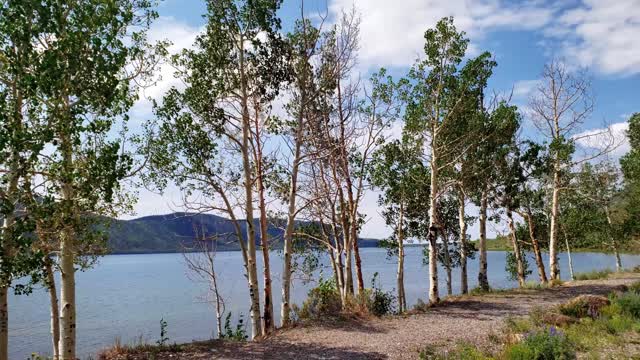 Fish Lake National Forest