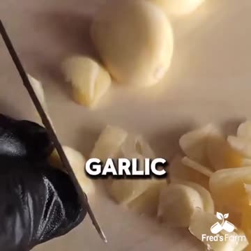 The Strongest Antibiotics Explained: What Makes Them So Powerful?