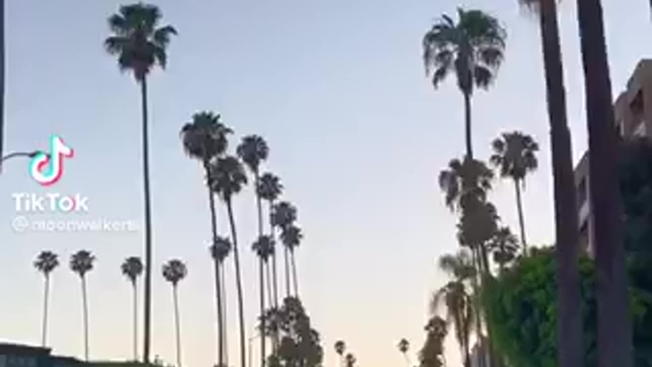 LA