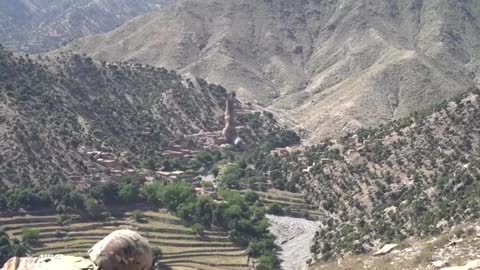 US Army Special Forces Green Berets Quiet Professionals