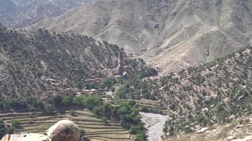 US Army Special Forces Green Berets Quiet Professionals