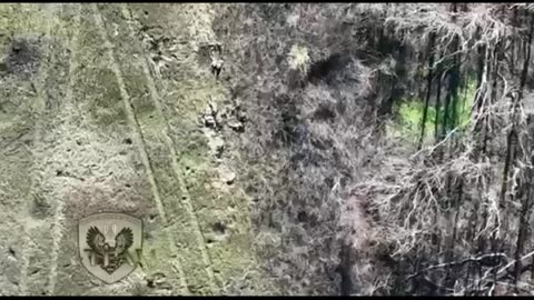 Insane Grenade Drops Pt3