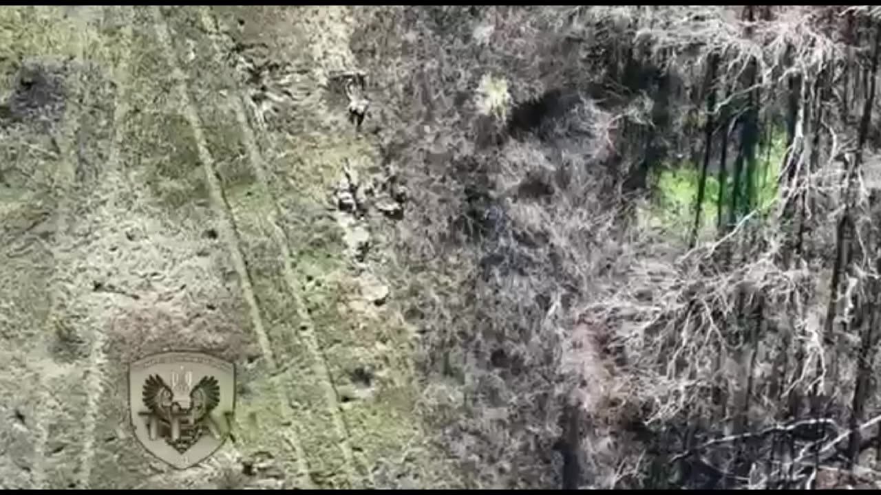 Insane Grenade Drops Pt3