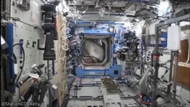 An astronaut snuck in a gorilla suit into the ISS and scared the shit out of another astronaut