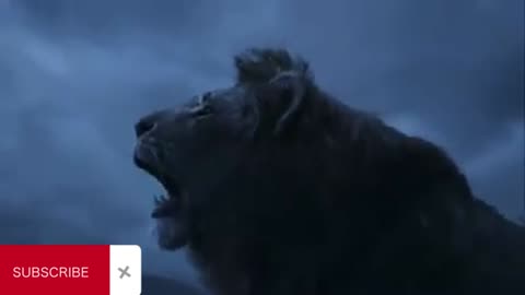 beautiful video of lion# animal lover# amazing roaring of lion