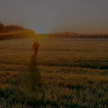 A Hero's Final Journey Home