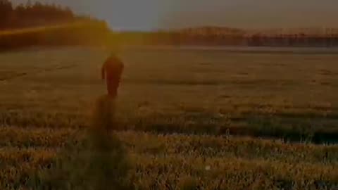A Hero's Final Journey Home