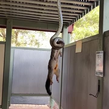 I couldn't hold back!!! 😱