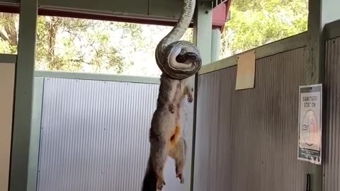 I couldn't hold back!!! 😱