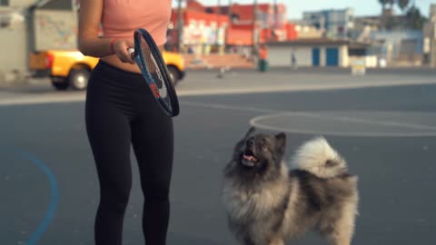 Woman Playing with Her Dog