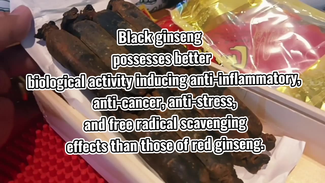 BLACK GINSENG