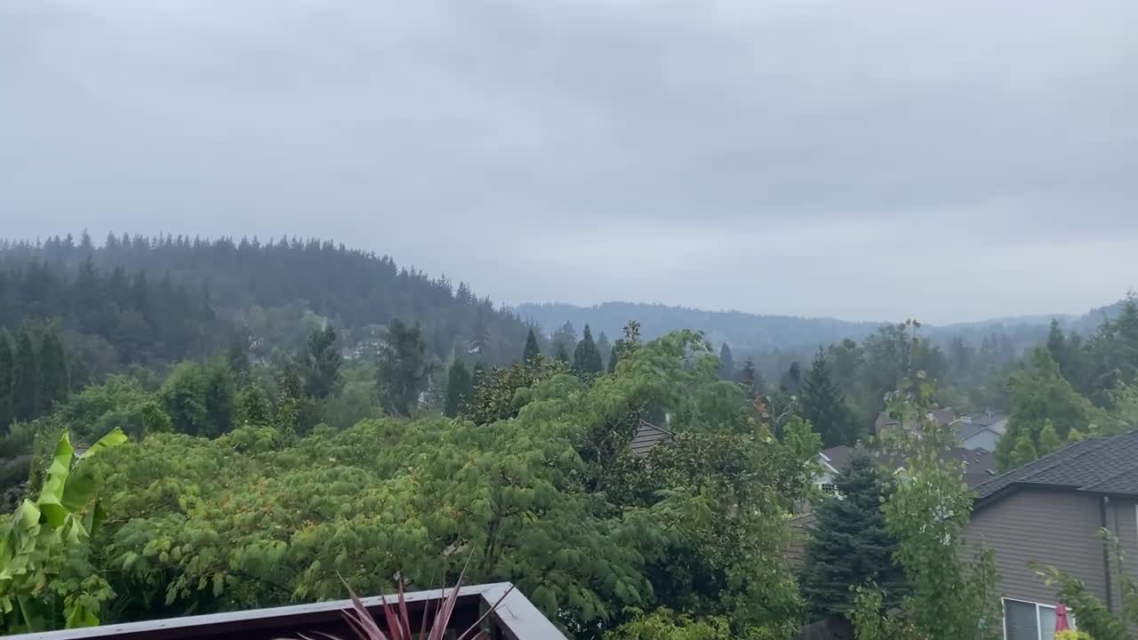 We finally got rain!