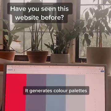 Unlocking the Power of Color Schemes in Web Design! 🌈