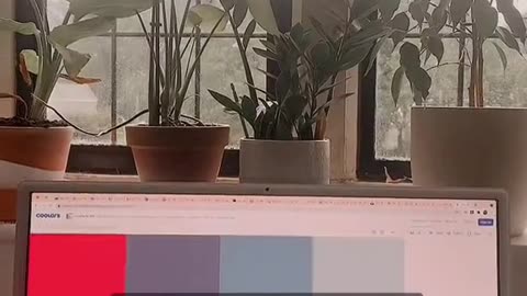 Unlocking the Power of Color Schemes in Web Design! 🌈