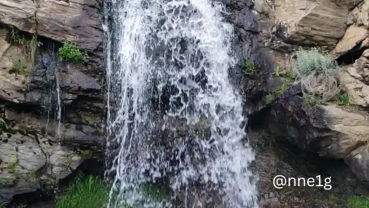 Knowledge is Useful to Gather