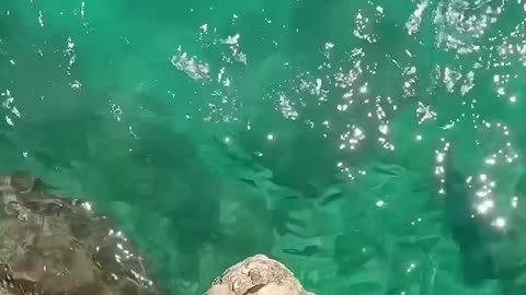 POV cliff dives up to 27m