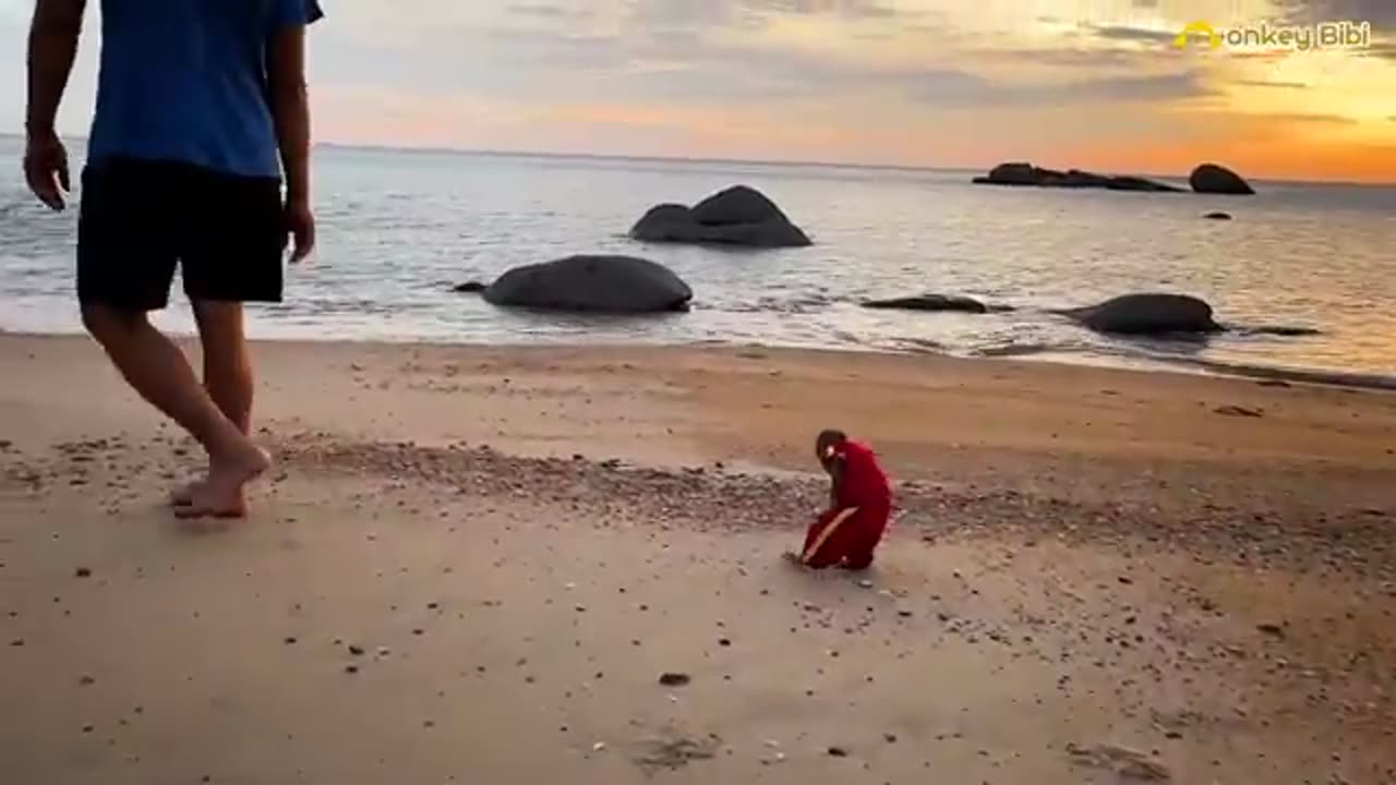 BIbi wakes up and calls dad to go exercise by the beach