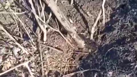 Ukraine The Armed Forces came under mortar