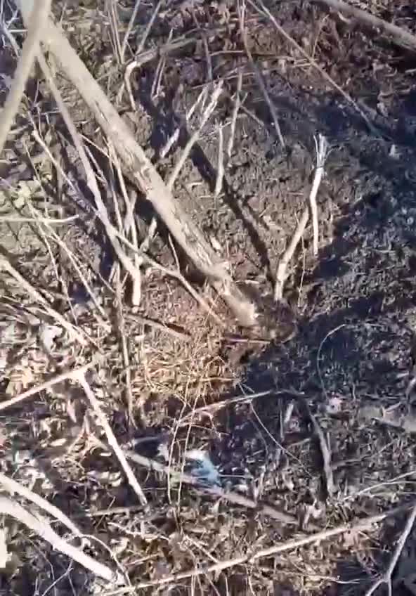 Ukraine The Armed Forces came under mortar