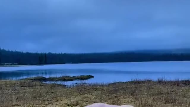 November swamp, you deserve it