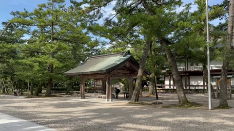 Izumo taisha