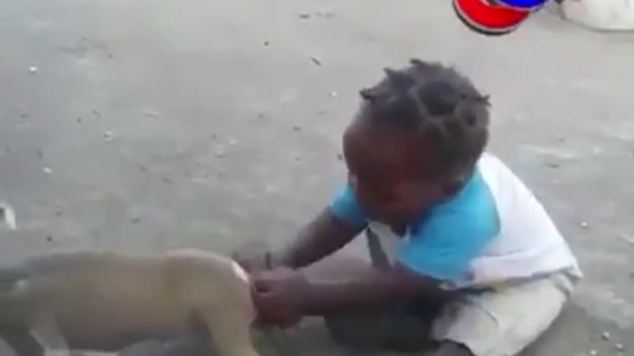 CRAZY BABY AND PUPPY FIGHT