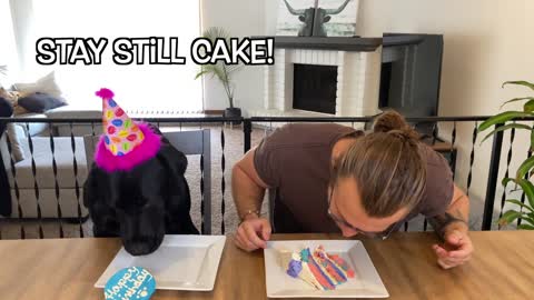 WHO EATS FASTER My Dog Or Me BIRTHDAY EDITION