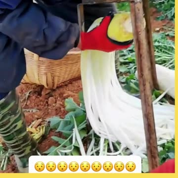 Most incredibly satisfying amusing and fun to watch videos