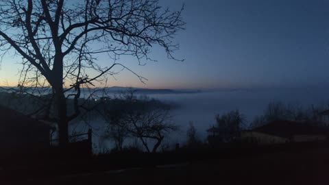 Village in the fog