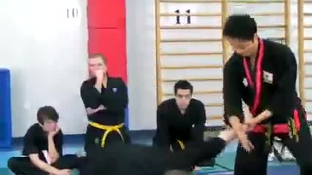 Hanminjok Hapkido