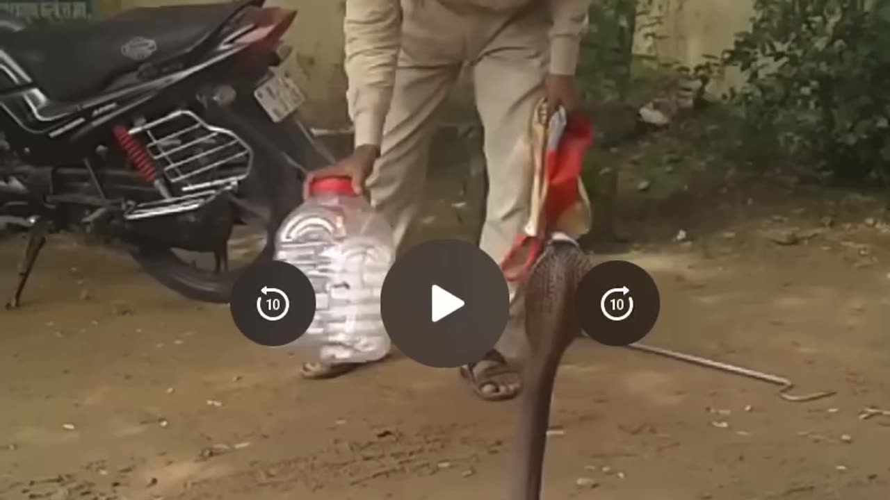 Snake catching man