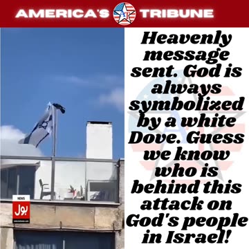 A Black Crow Takes Israeli Flag off Pole and Throws it to the Ground