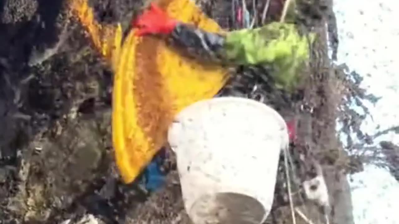 How to break the honey