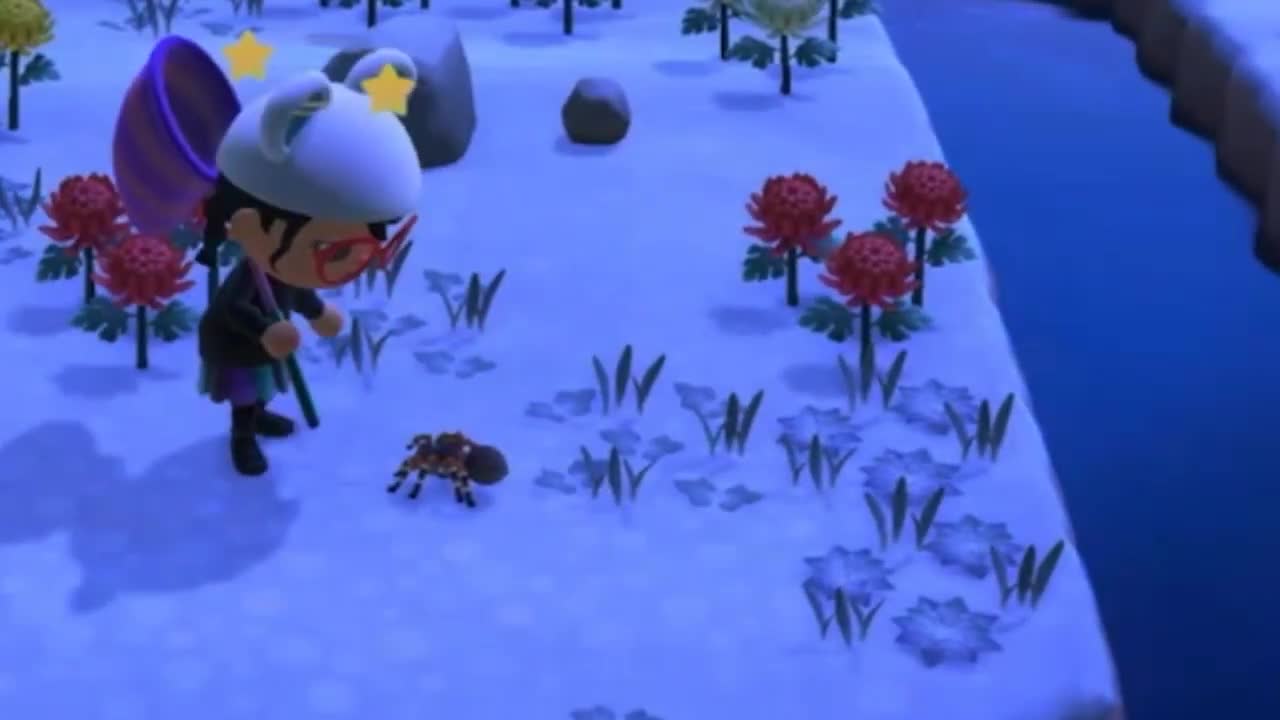 Animal Crossing- Tarantula Island